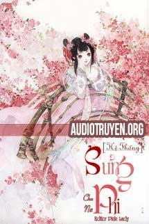 Truyện Audio Hệ Thống Sủng Phi